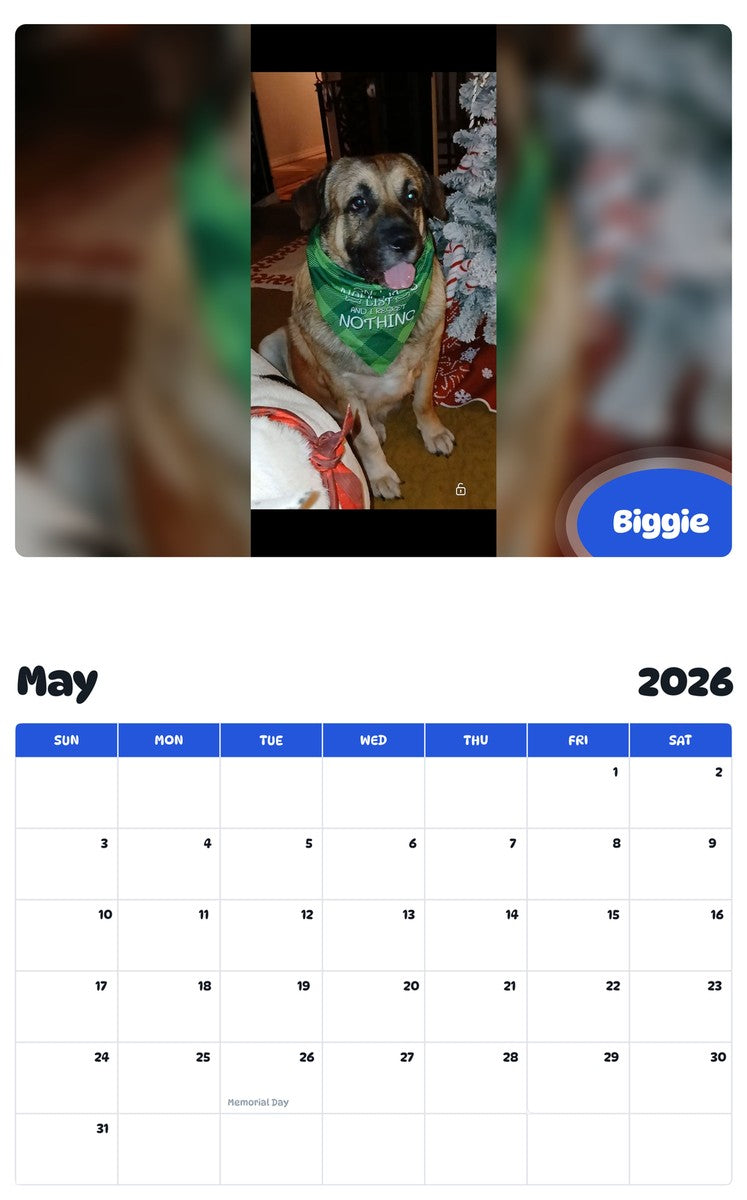 2026 - 2027 Biggie - Pawidols Pet Calendar