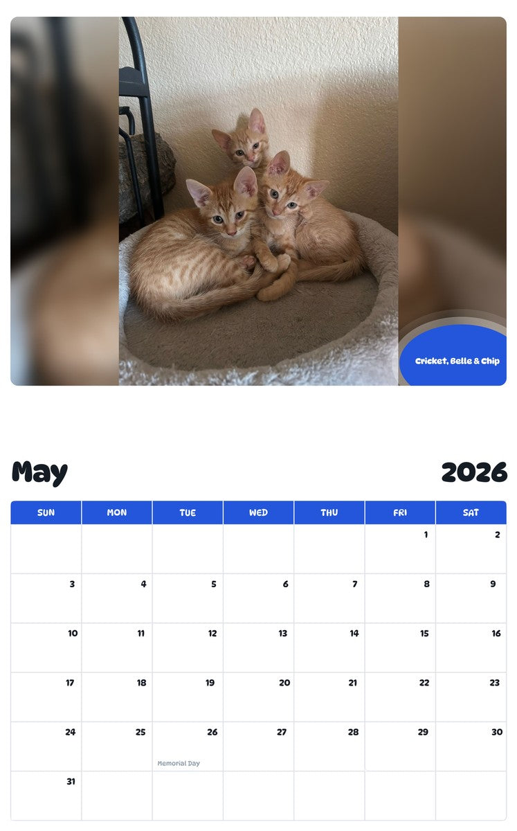 2026 - 2027 Cricket, Belle & Chip - Pawidols Pet Calendar