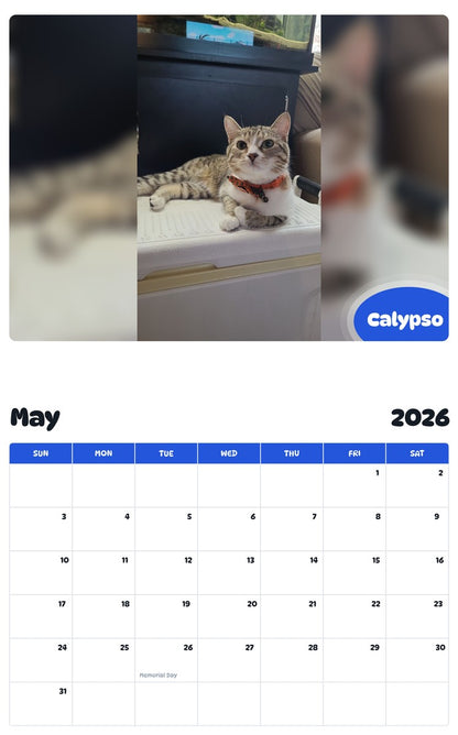 2026 - 2027 Calypso - Pawidols Pet Calendar