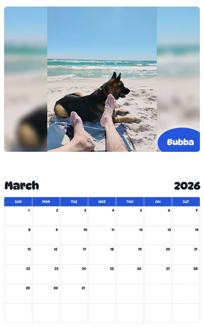 November 2025 - October 2026 Bubba - Pawidols Pet Calendar