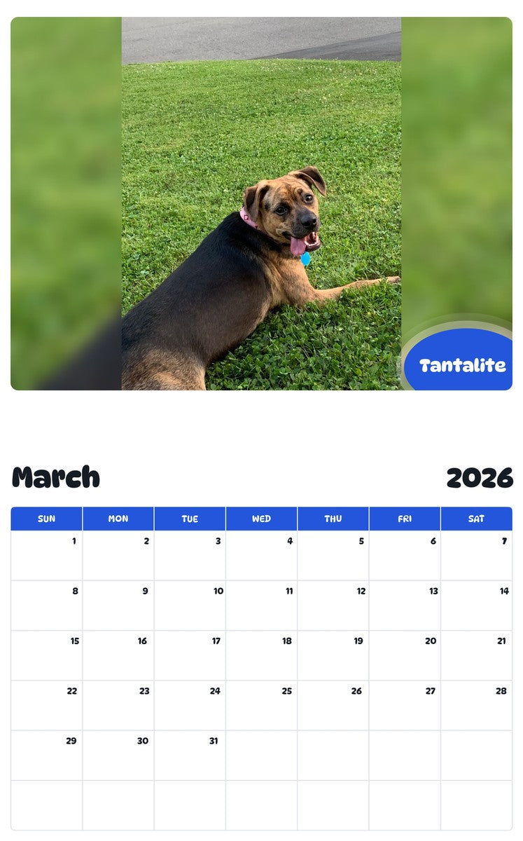 November 2025 - October 2026 Tantalite - Pawidols Pet Calendar