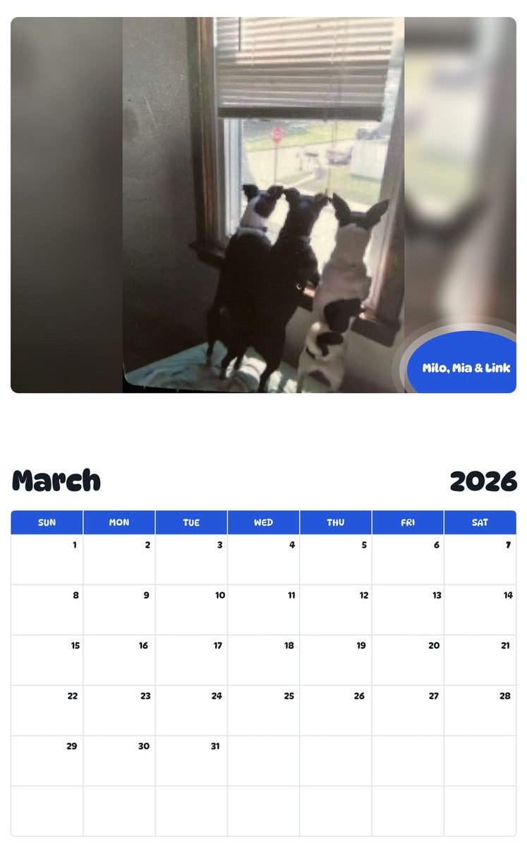 November 2025 - October 2026 Milo, Mia & Link - Pawidols Pet Calendar