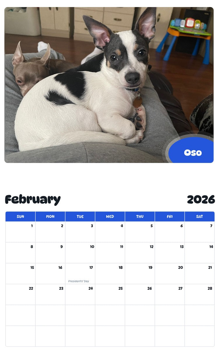 November 2025 - October 2026 Oso - Pawidols Pet Calendar
