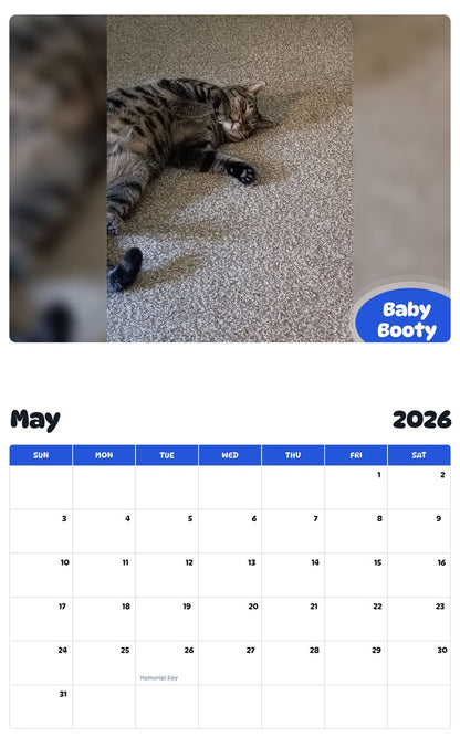 2026 - 2027 Baby Booty - Pawidols Pet Calendar