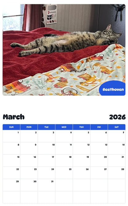 November 2025 - October 2026 Beethoven - Pawidols Pet Calendar