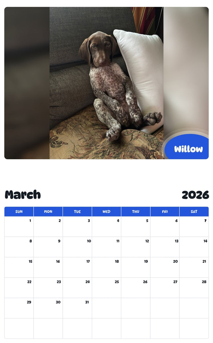 November 2025 - October 2026 Willow - Pawidols Pet Calendar