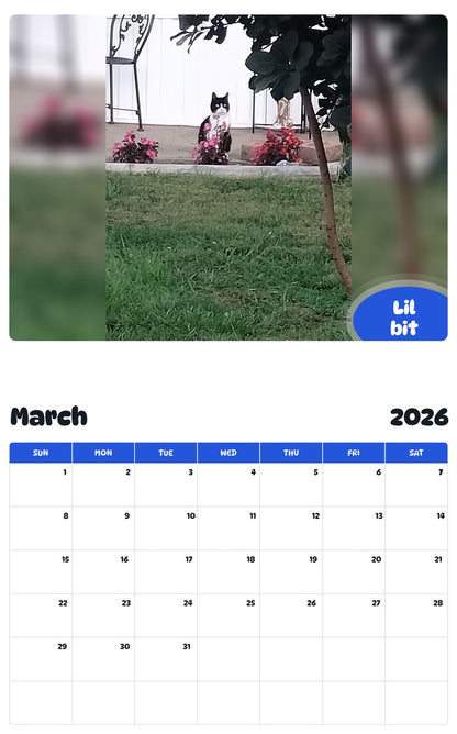 November 2025 - October 2026 Lil bit - Pawidols Pet Calendar
