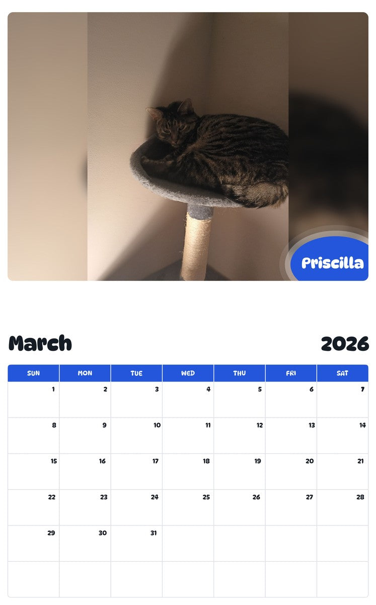 November 2025 - October 2026 Priscilla - Pawidols Pet Calendar