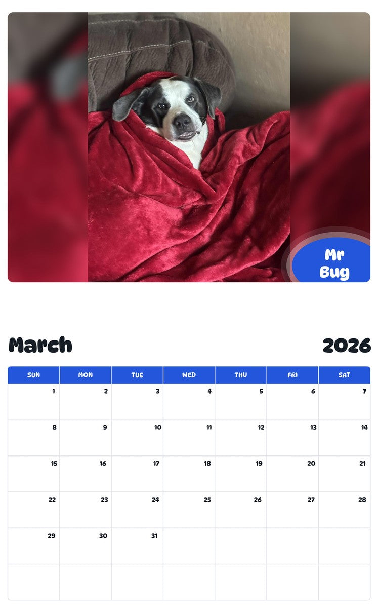 November 2025 - October 2026 Mr Bug - Pawidols Pet Calendar