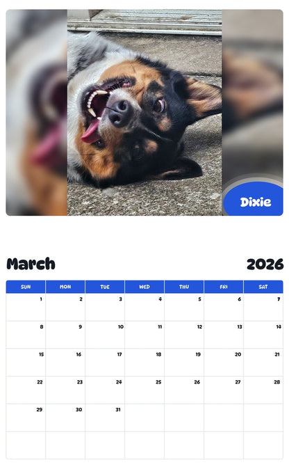 November 2025 - October 2026 Dixie - Pawidols Pet Calendar