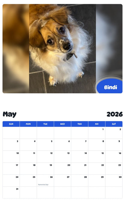 2026 - 2027 Bindi - Pawidols Pet Calendar