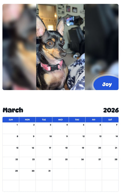 November 2025 - October 2026 Joy - Pawidols Pet Calendar
