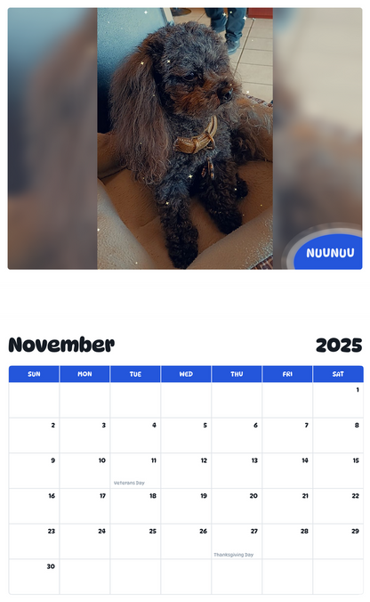 July 2025 - June 2026 NuuNuu - Pawidols Pet Calendar