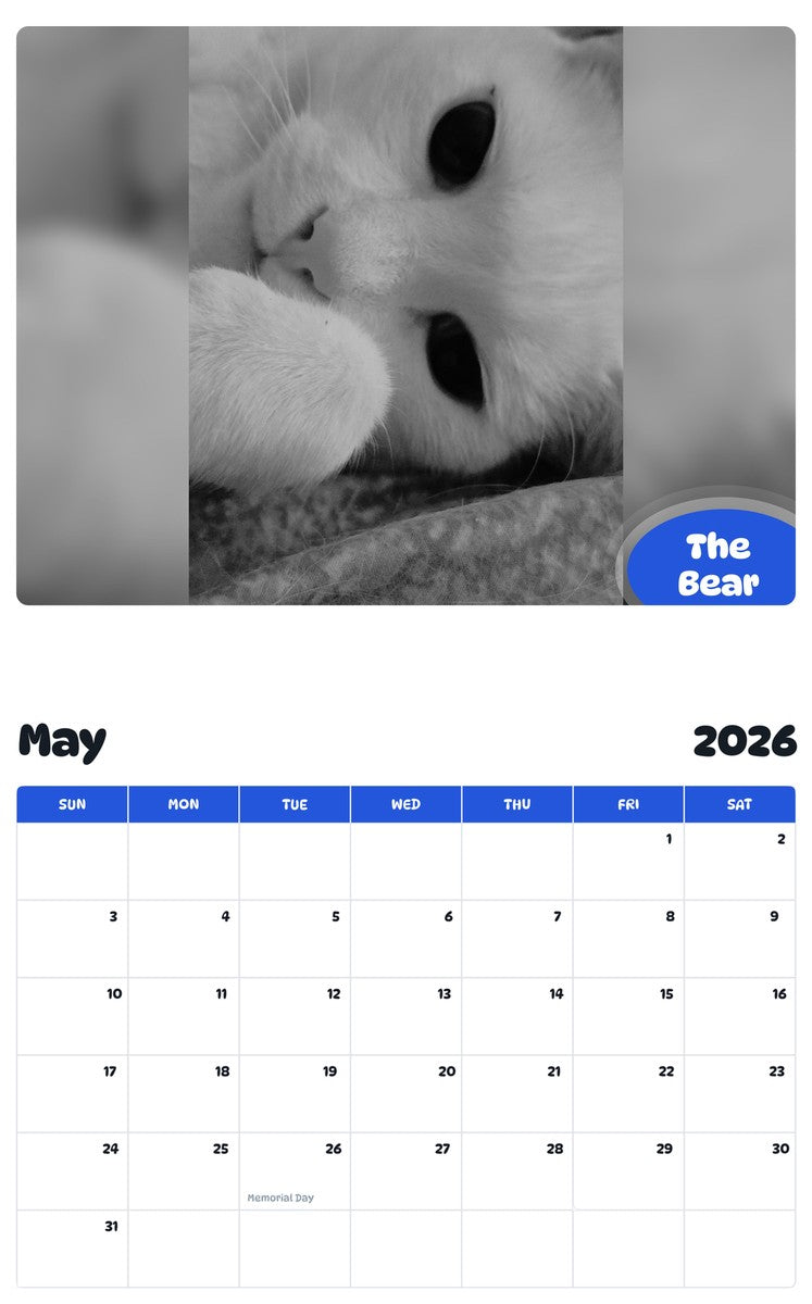 2026 - 2027 The Bear - Pawidols Pet Calendar