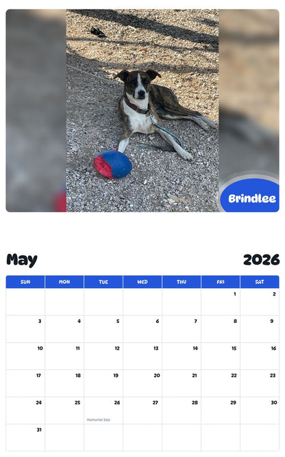 2026 - 2027 Brindlee - Pawidols Pet Calendar