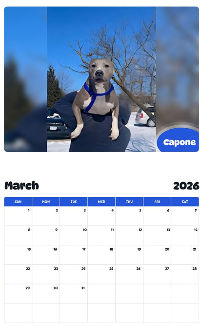 November 2025 - October 2026 Capone - Pawidols Pet Calendar