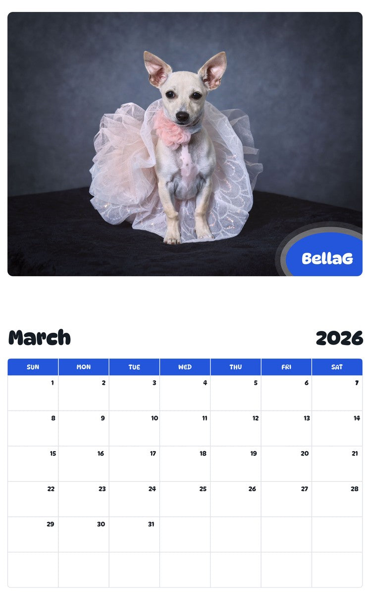 November 2025 - October 2026 BellaG - Pawidols Pet Calendar