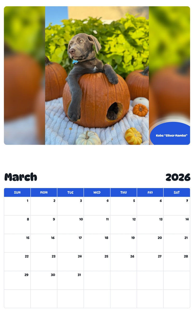November 2025 - October 2026 Kobe “Silver Mamba” - Pawidols Pet Calendar