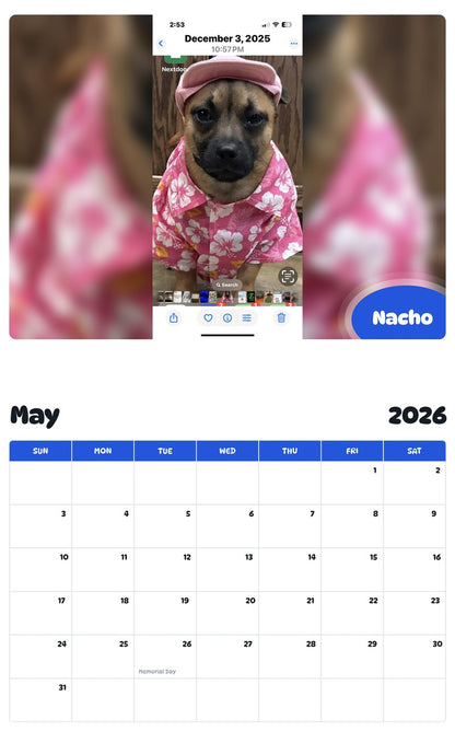 2026 - 2027 Nacho - Pawidols Pet Calendar