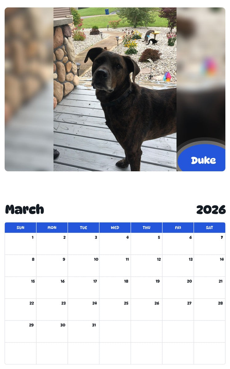 November 2025 - October 2026 Duke - Pawidols Pet Calendar