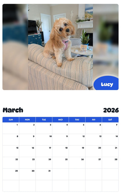 November 2025 - October 2026 Lucy - Pawidols Pet Calendar