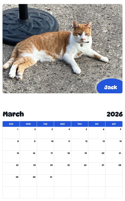 November 2025 - October 2026 Jack - Pawidols Pet Calendar