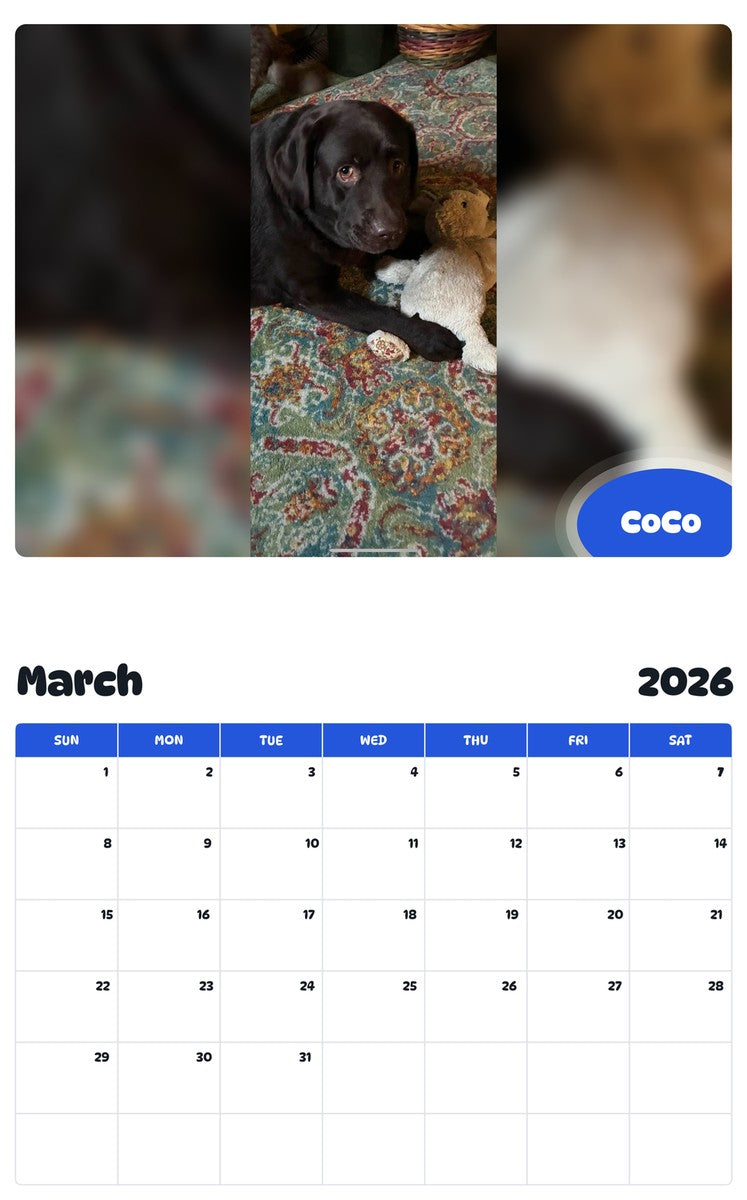 November 2025 - October 2026 CoCo - Pawidols Pet Calendar