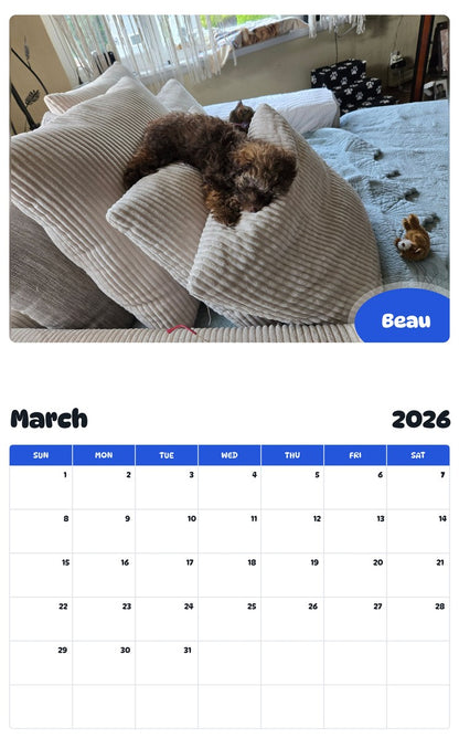 November 2025 - October 2026 Beau - Pawidols Pet Calendar