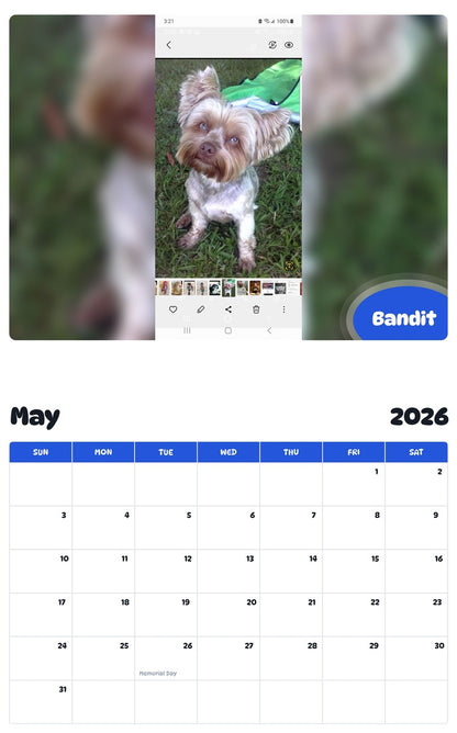 2026 - 2027 Bandit - Pawidols Pet Calendar