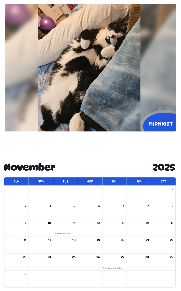 July 2025 - June 2026 Midnigjt - Pawidols Pet Calendar