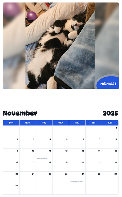 July 2025 - June 2026 Midnigjt - Pawidols Pet Calendar