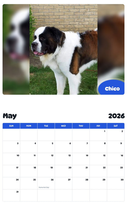 2026 - 2027 Chico - Pawidols Pet Calendar