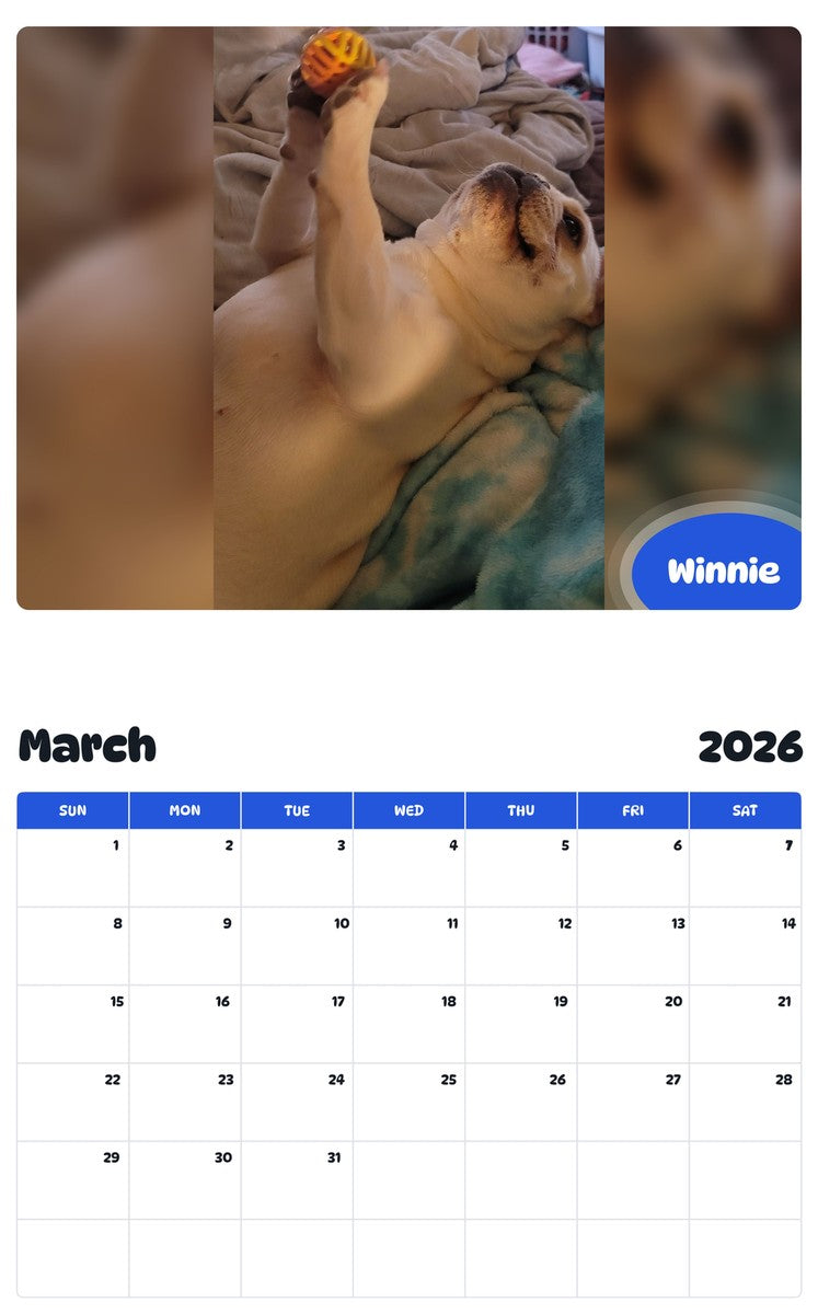 November 2025 - October 2026 Winnie - Pawidols Pet Calendar