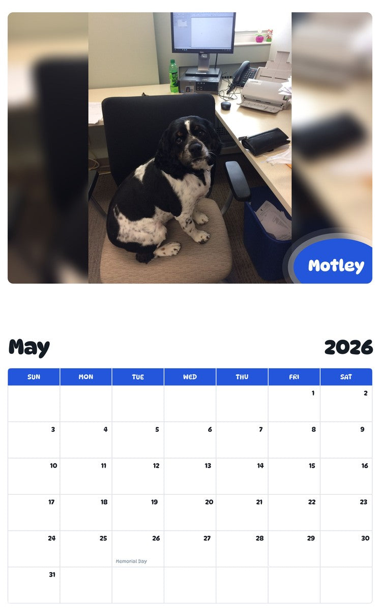 2026 - 2027 Motley - Pawidols Pet Calendar