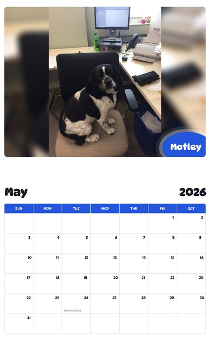2026 - 2027 Motley - Pawidols Pet Calendar