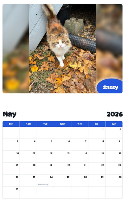 2026 - 2027 Sassy - Pawidols Pet Calendar