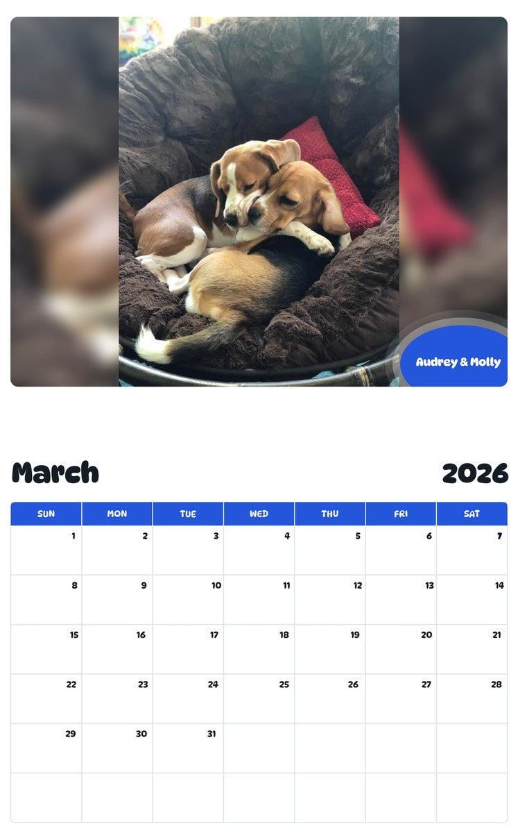 November 2025 - October 2026 Audrey & Molly - Pawidols Pet Calendar