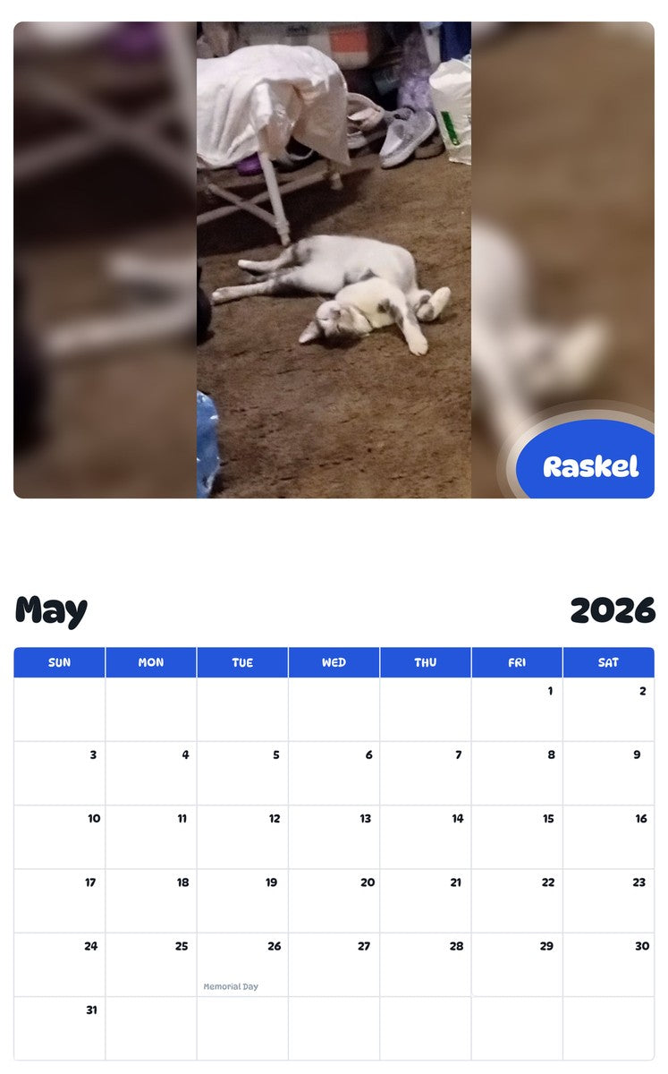2026 - 2027 Raskel - Pawidols Pet Calendar