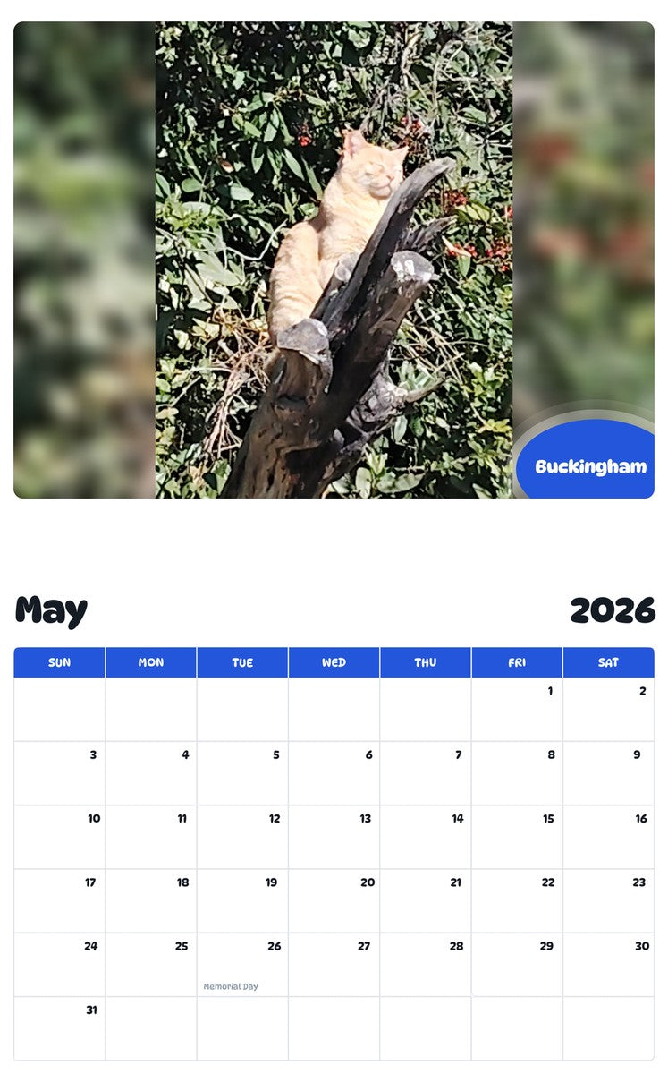 2026 - 2027 Buckingham - Pawidols Pet Calendar