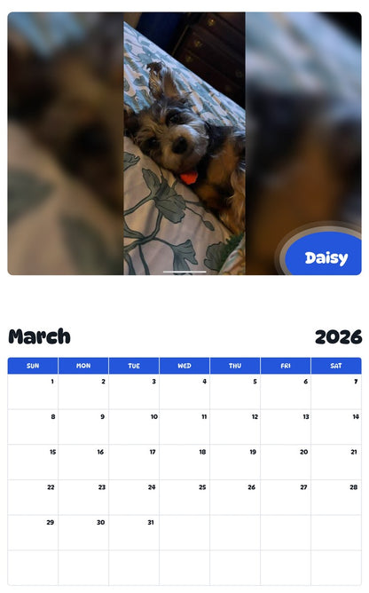 November 2025 - October 2026 Daisy - Pawidols Pet Calendar