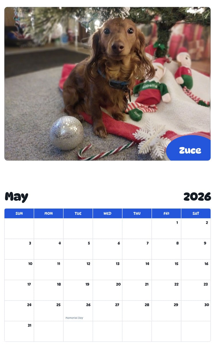 2026 - 2027 Zuce - Pawidols Pet Calendar
