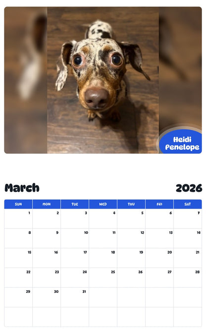 November 2025 - October 2026 Heidi Penelope - Pawidols Pet Calendar