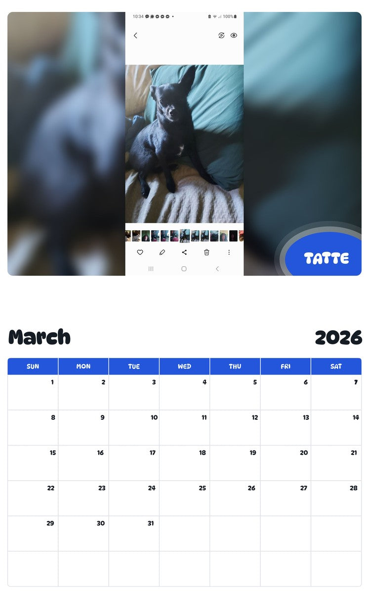 November 2025 - October 2026 TATTE - Pawidols Pet Calendar