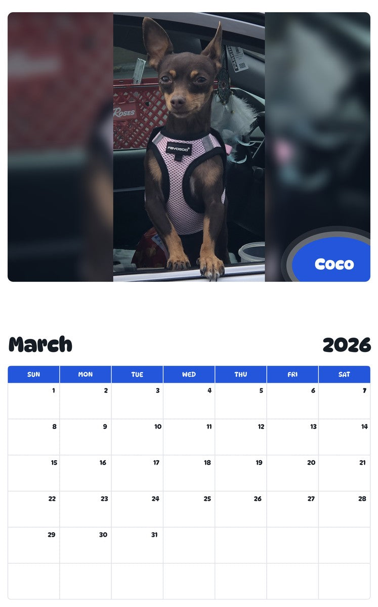 November 2025 - October 2026 Coco - Pawidols Pet Calendar