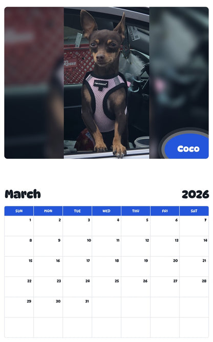 November 2025 - October 2026 Coco - Pawidols Pet Calendar