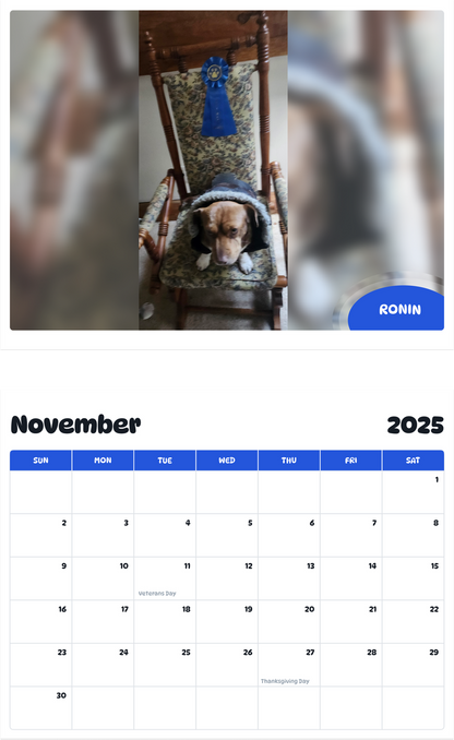 July 2025 - June 2026 Ronin - Pawidols Pet Calendar