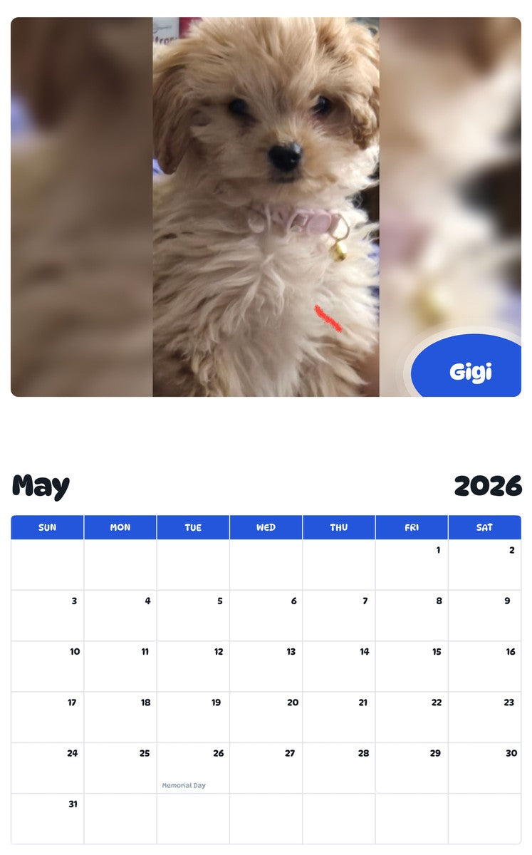 2026 - 2027 Gigi - Pawidols Pet Calendar