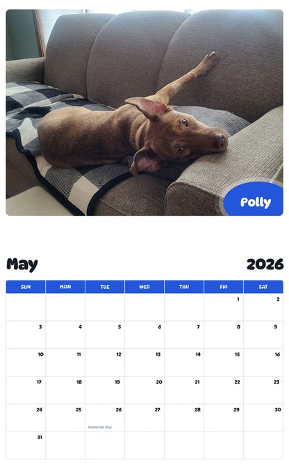 2026 - 2027 Polly - Pawidols Pet Calendar