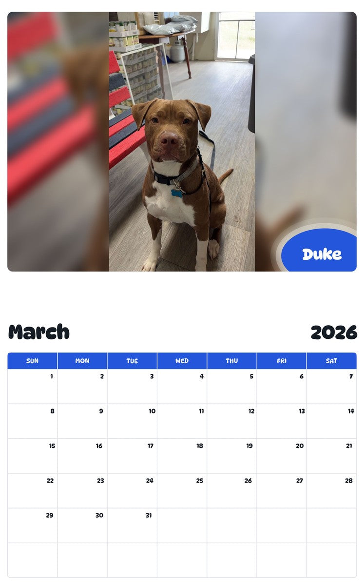 November 2025 - October 2026 Duke - Pawidols Pet Calendar