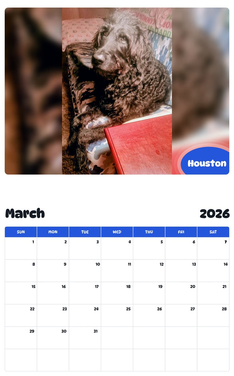 November 2025 - October 2026 Houston - Pawidols Pet Calendar